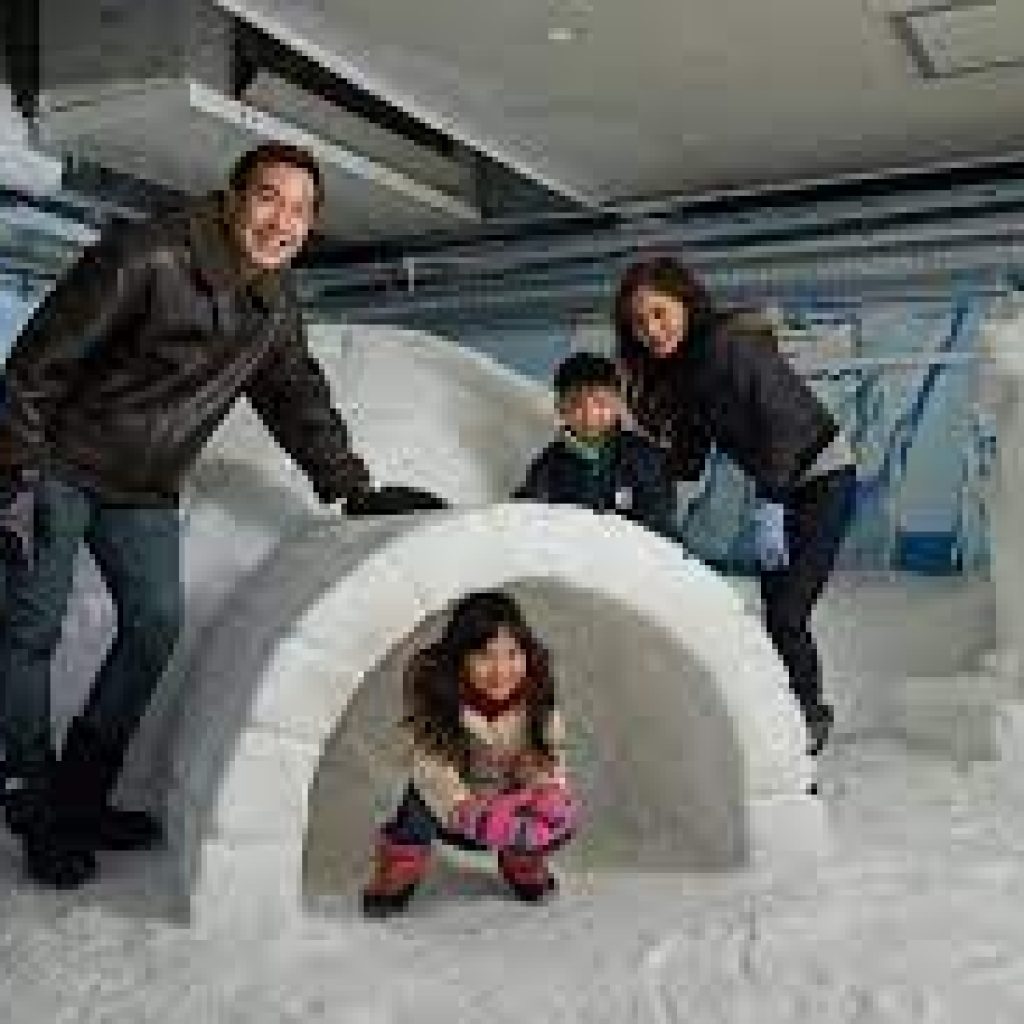 سنو سيتي سنغافورة ١