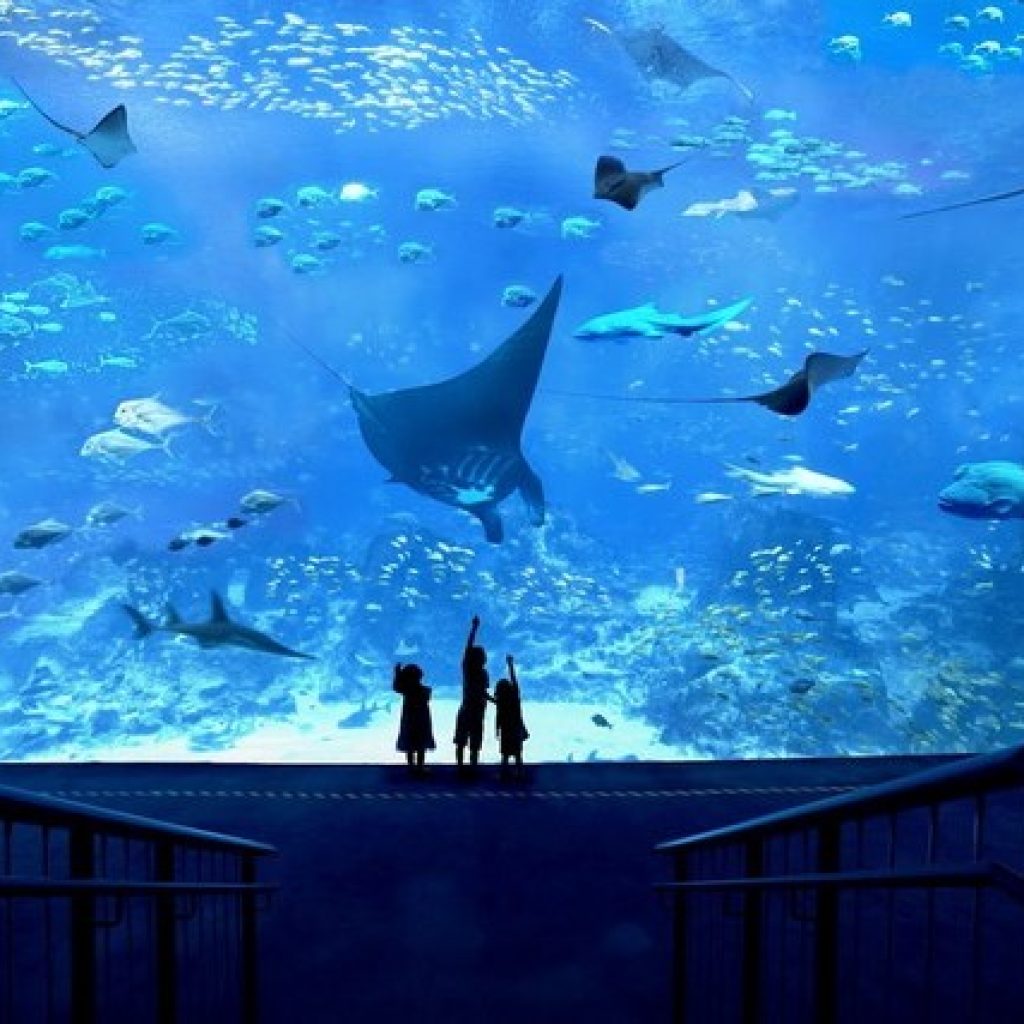 حديقة سي اي اه المائية ٣