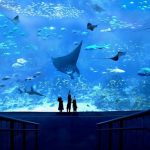 حديقة سي اي اه المائية ٣