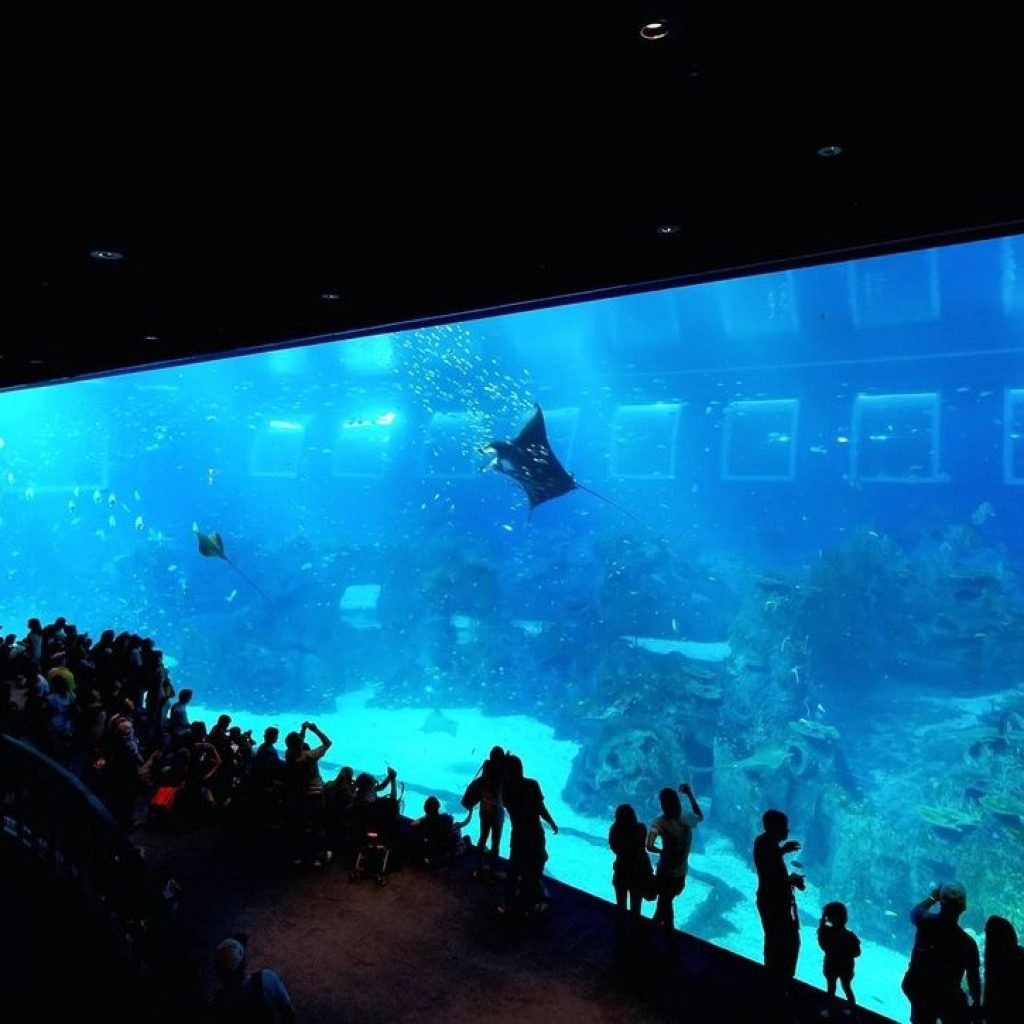 حديقة سي اي اه المائية ٤