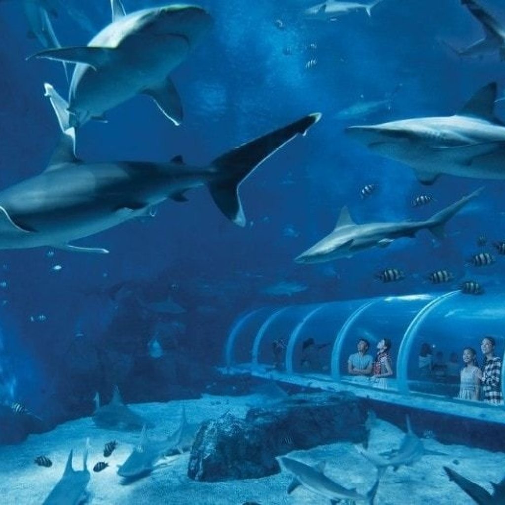 حديقة سي اي اه المائية ٥