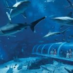 حديقة سي اي اه المائية ٥