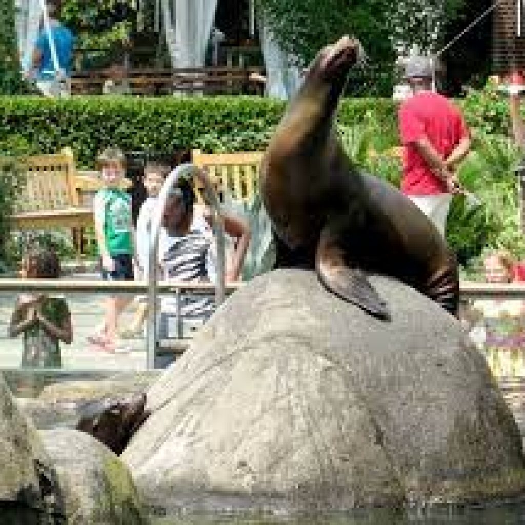 سينترال بارك زوو ٣