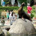 سينترال بارك زوو ٣