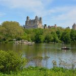 سينترال بارك زوو ٤