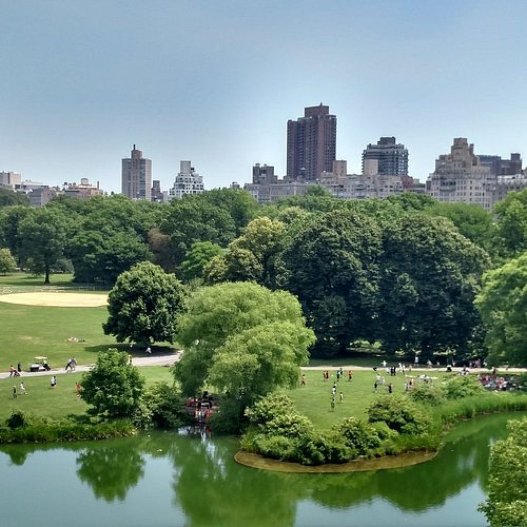 سينترال بارك زوو ٥