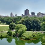 سينترال بارك زوو ٥