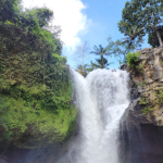 شلال تيجينونجان (2)