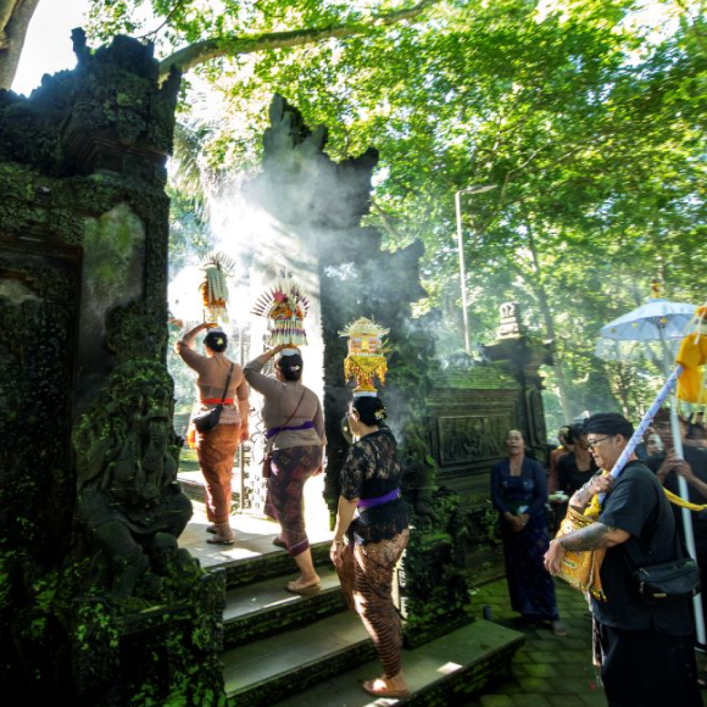 غابة القرود المقدسة (4)