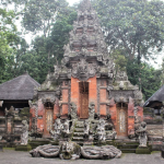 غابة القرود المقدسة (5)