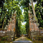 غابة القرود المقدسة (6)