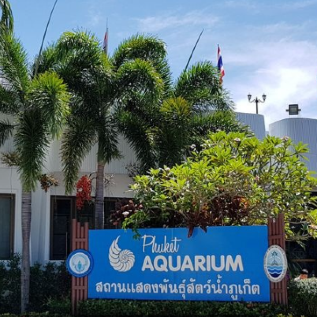 حوض السمك بوكيت - بوكيت اكووريم ١