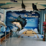 حوض السمك بوكيت - بوكيت اكووريم ٤