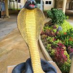 فوكيت كوبرا ومزرعة الثعابين ١