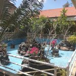 فوكيت كوبرا ومزرعة الثعابين ٥