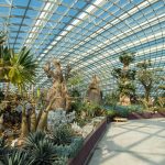 قبة الزهرة ٣