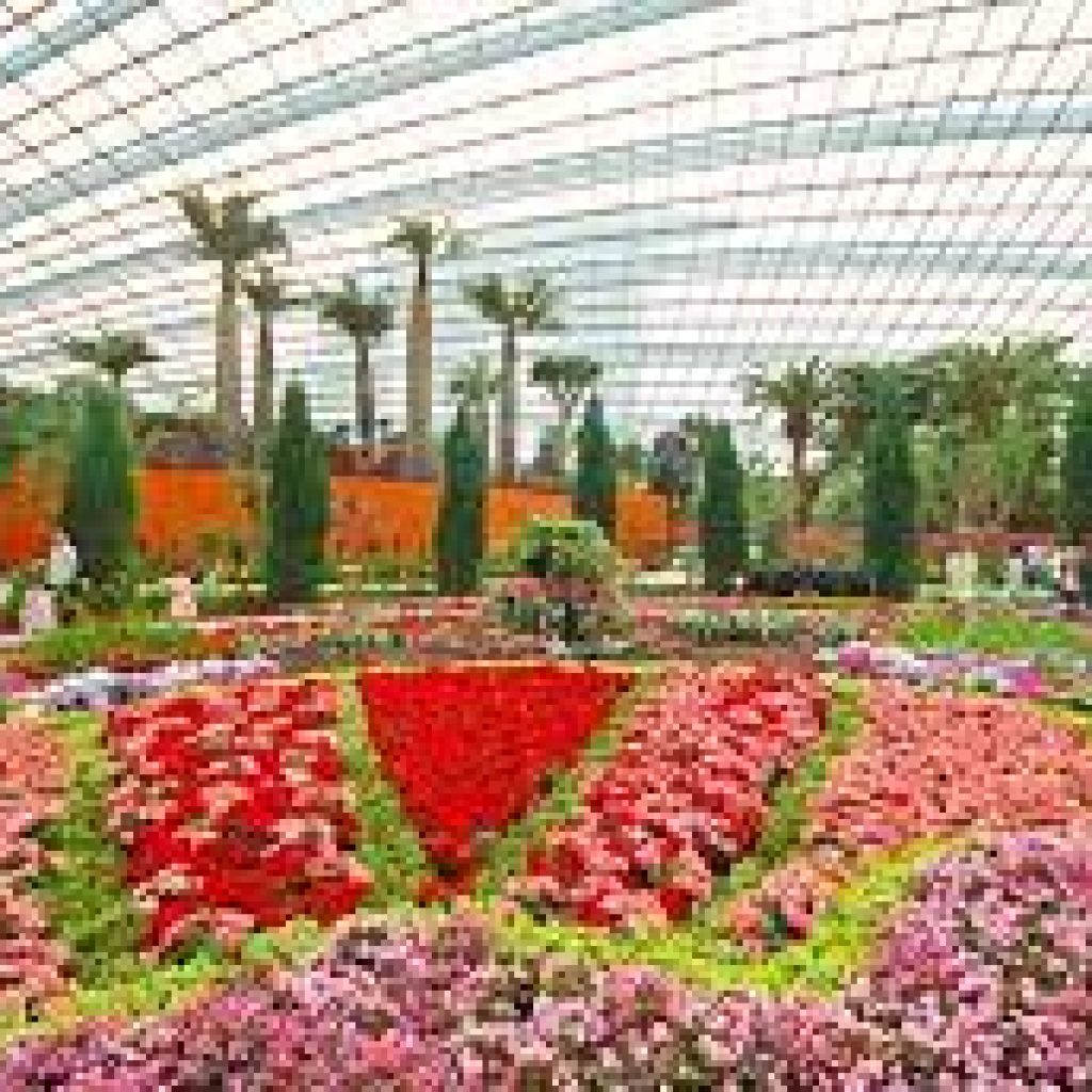 قبة الزهرة ٥