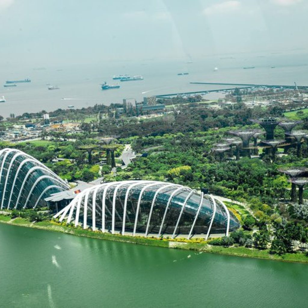 قبة الزهرة ٦