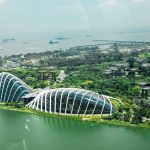 قبة الزهرة ٦