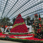 قبة الزهرة ٧