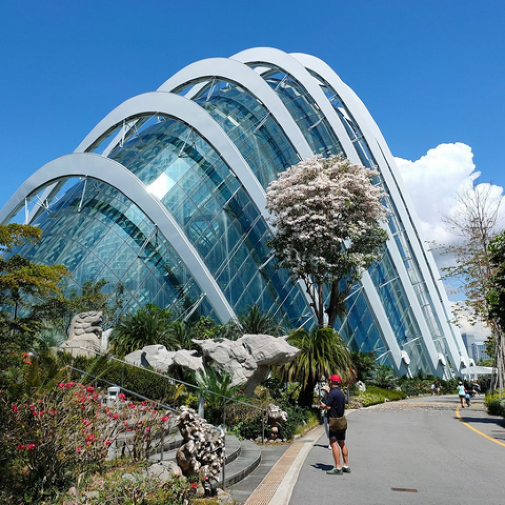 قبة الزهرة ٨