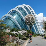 قبة الزهرة ٨