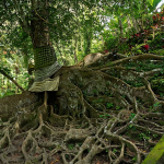 كهف غوا جاجاه (1)