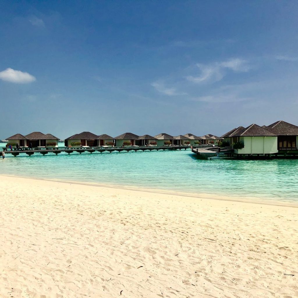 لؤلؤة المالديف