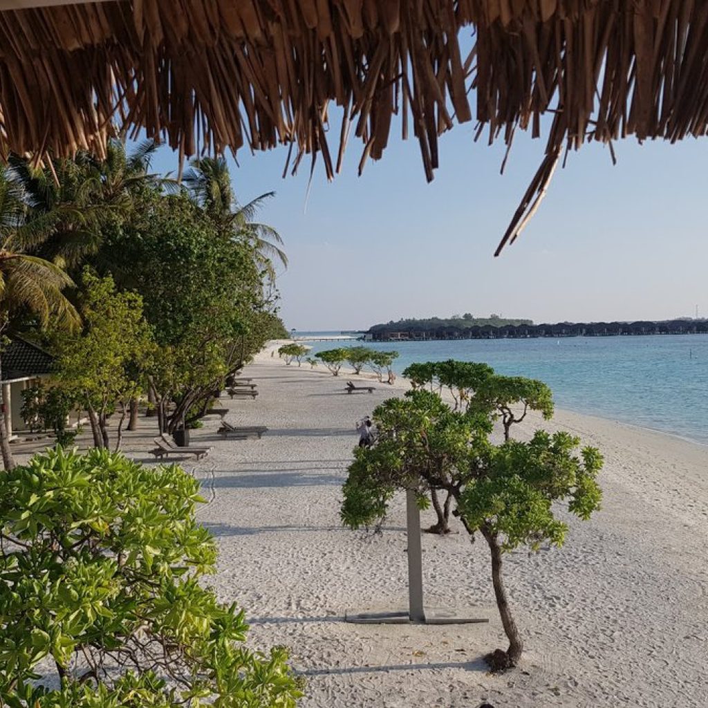 لؤلؤة المالديف