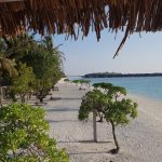 لؤلؤة المالديف