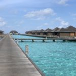 لؤلؤة المالديف