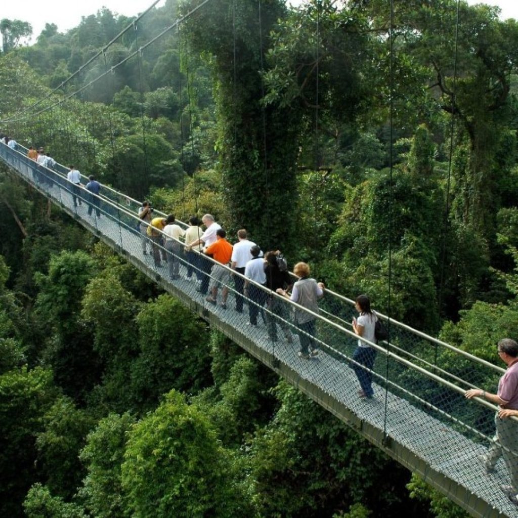 ماكريتشي ريسيرفوار ٢