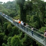 ماكريتشي ريسيرفوار ٢