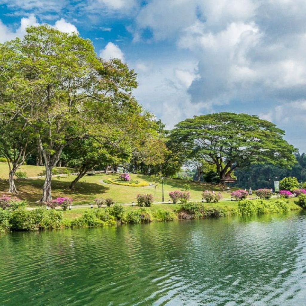 ماكريتشي ريسيرفوار ٤