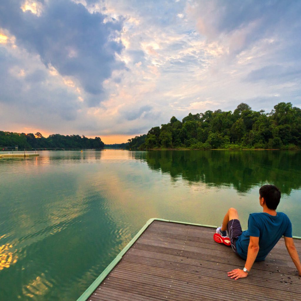 ماكريتشي ريسيرفوار ٥