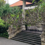 متحف بوري الفني (2)