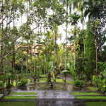 متحف بوري الفني (4)