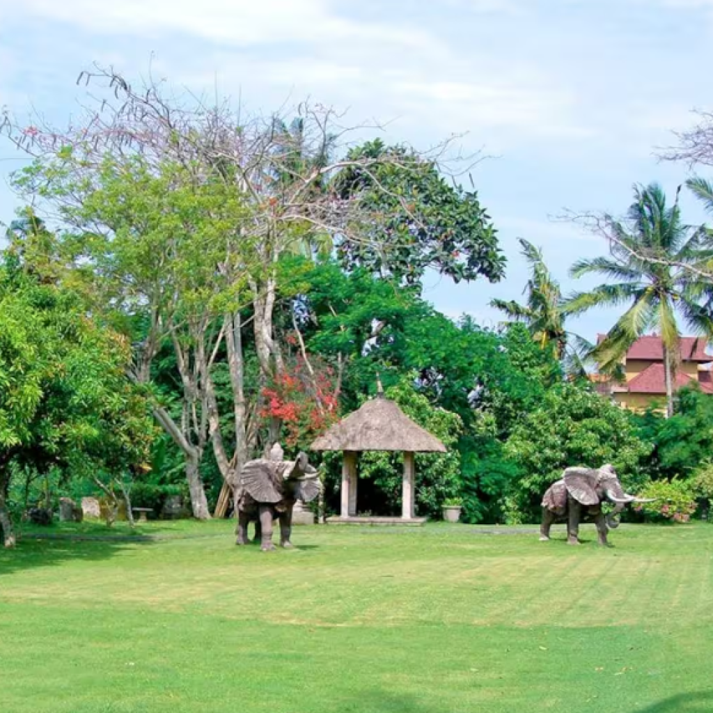 متحف رودانا (2)