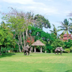 متحف رودانا (2)