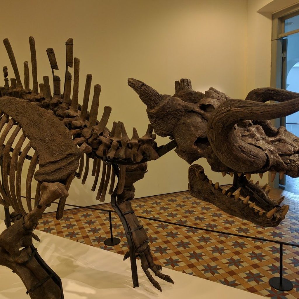 متحف سنغافورة للفنون 4