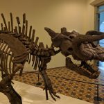 متحف سنغافورة للفنون 4