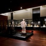 متحف مدريد الأثري الوطني ٣