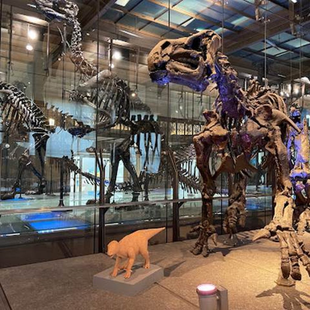 متحف مركز بتروسينز لاكتشاف العلوم