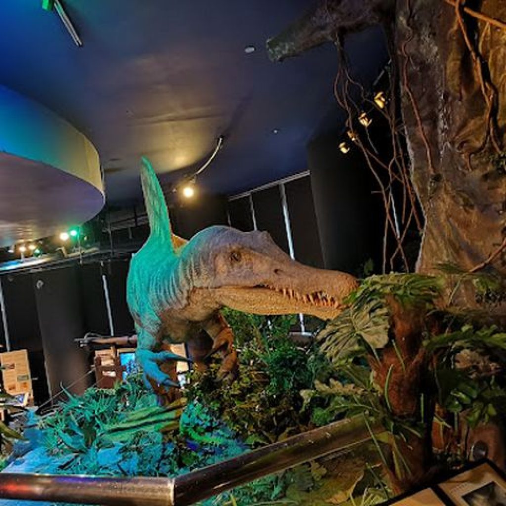 متحف مركز بتروسينز لاكتشاف العلوم