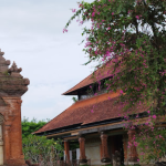 متحف نيكا للفنون في بالي