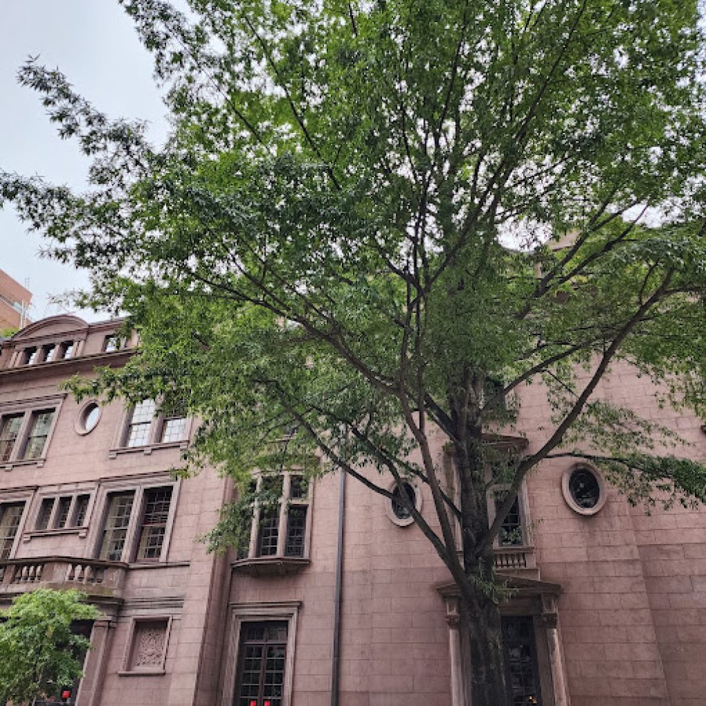 متحف ومكتبة مورغان6