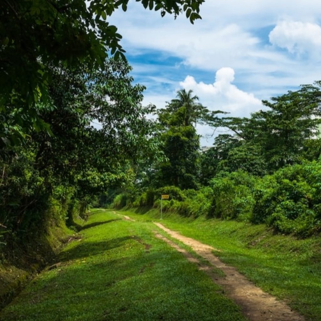 محمية بوكيت تيماه الطبيعية