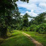 محمية بوكيت تيماه الطبيعية