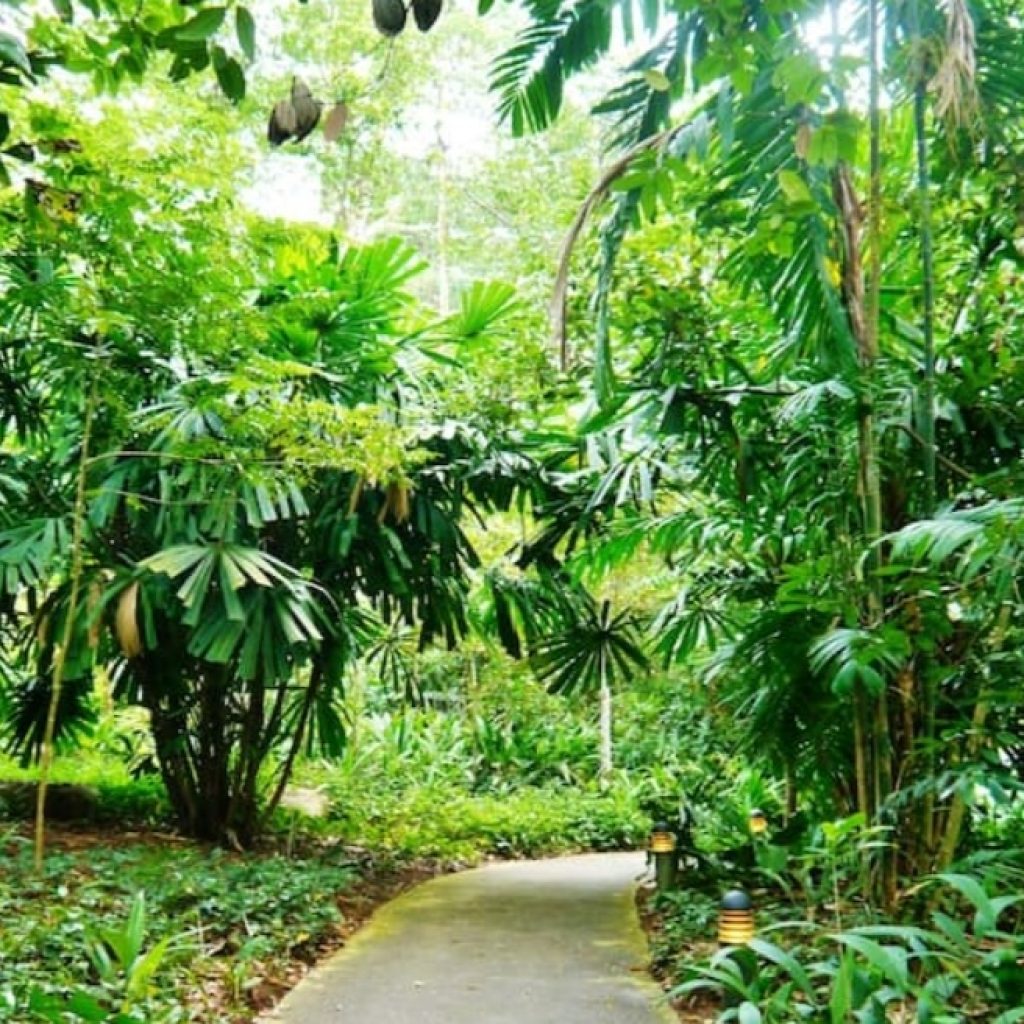 محمية بوكيت تيماه الطبيعية ٣