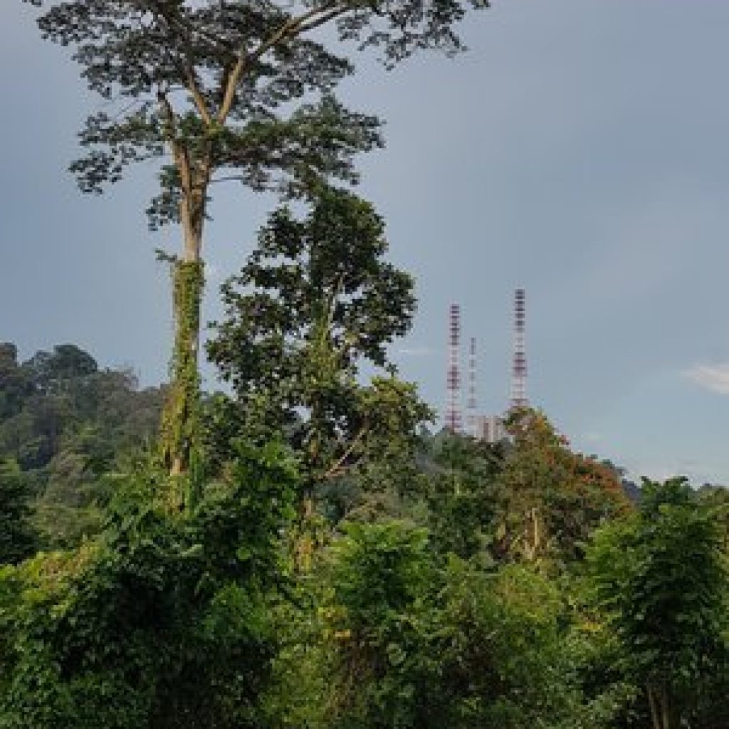 محمية بوكيت تيماه الطبيعية ٤